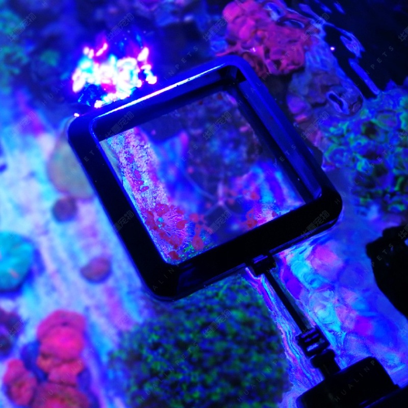 VASTOCEAN Magnetic Feeding Rin - đánh giá và giá Seaweed Snack