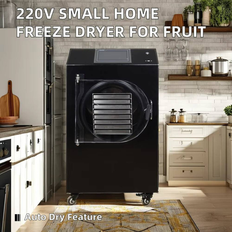 Automatic PLC-Controlled Dryin - đánh giá và giá Dried Fruit