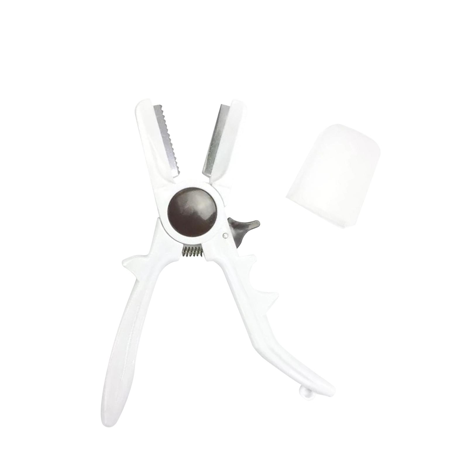 Manual Chestnuts Cracker Tool  - đánh giá và giá Dried Fruit