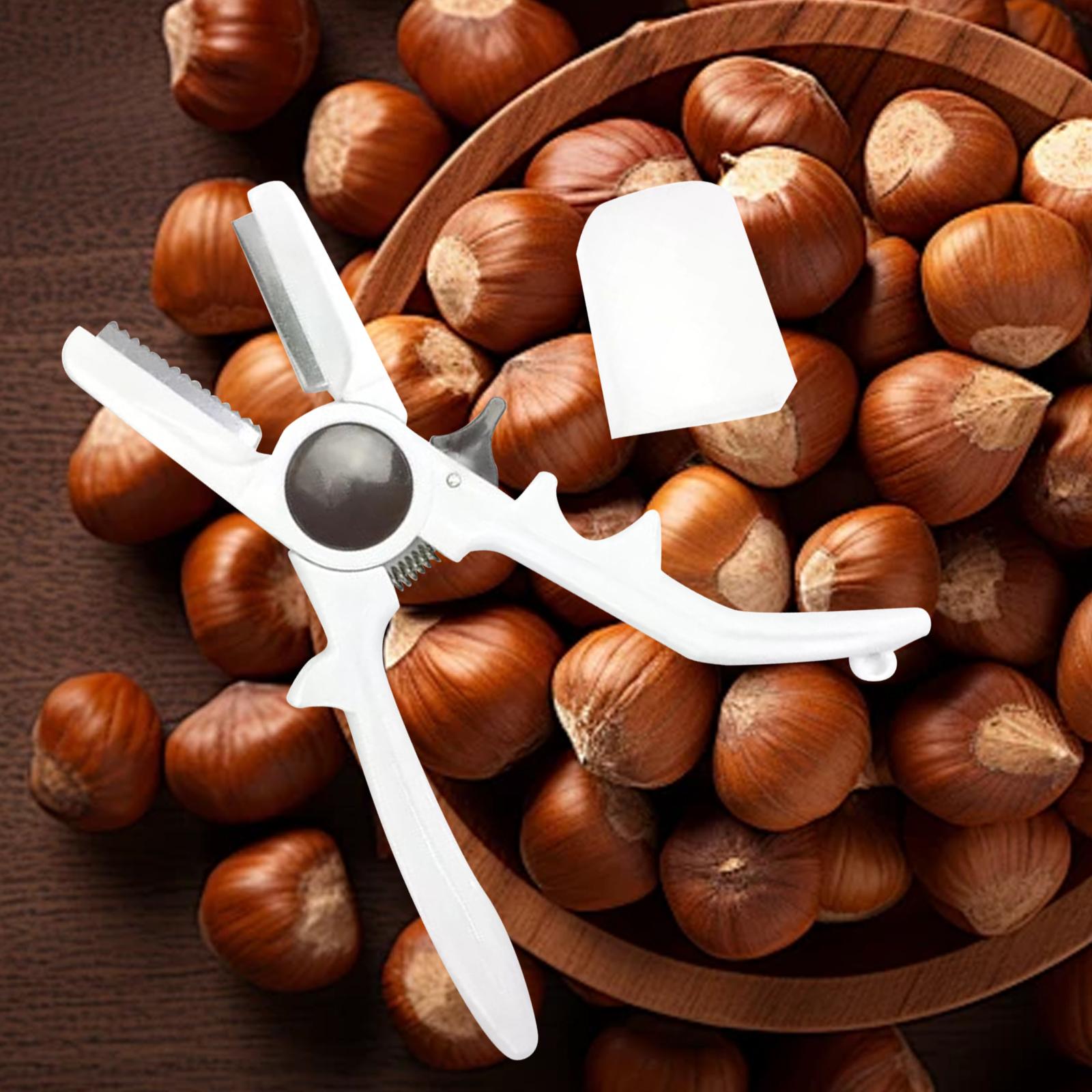 Manual Chestnuts Cracker Tool  - đánh giá và giá Dried Fruit